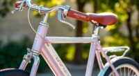 customized women s bicycles daccordi