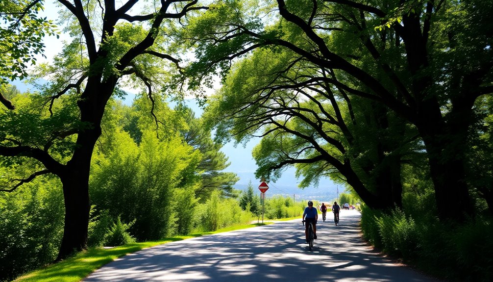 cycling route overview guide