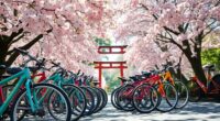 renting a bike japan