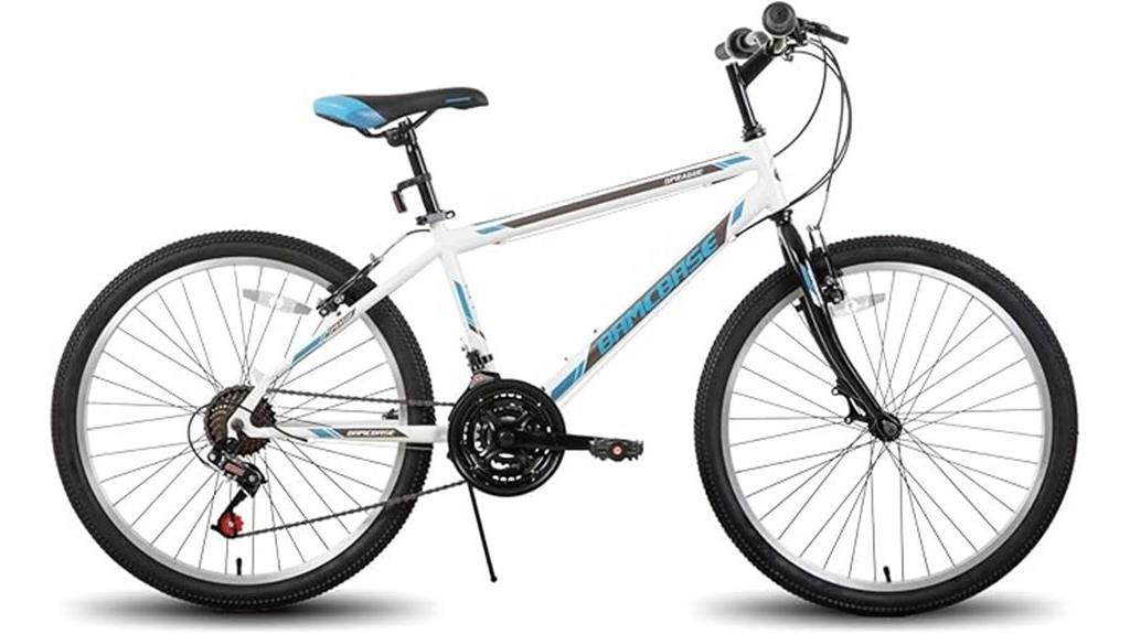 adult hybrid urban bike