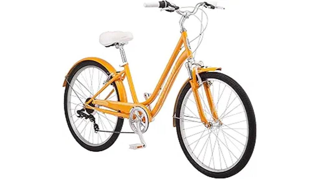 comfortable adult bicycle