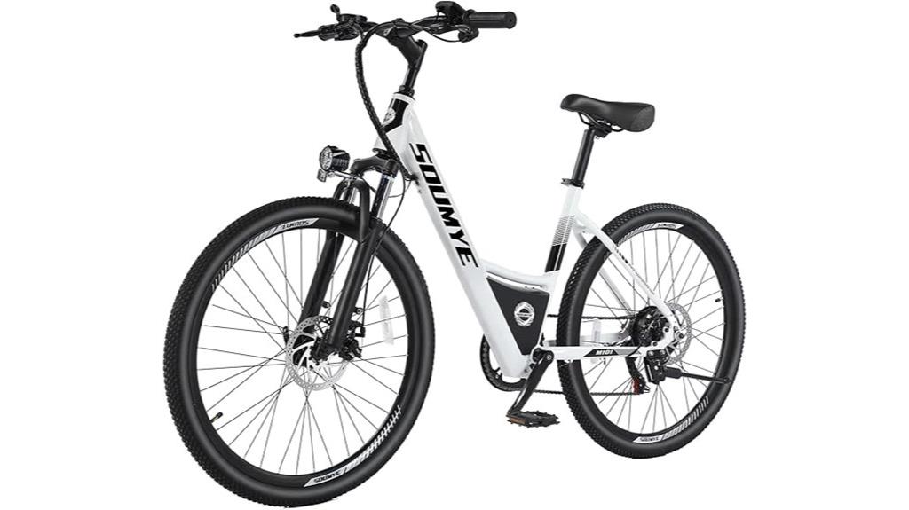 powerful adult e bike