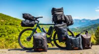 top bike travel bag options