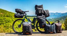 top bike travel bag options
