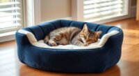 luxury orthopedic cat beds