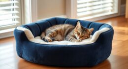 luxury orthopedic cat beds