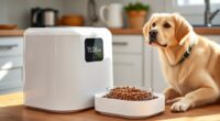 top automated pet feeders