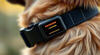 top gps dog collars