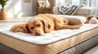 top orthopedic pet mattress list