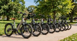 e bikes for tall riders