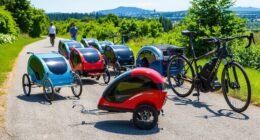 luxury tag along trailers