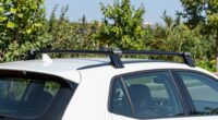 top hatchback swing racks