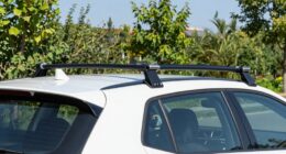 top hatchback swing racks