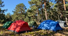 top lightweight bikepacking tents