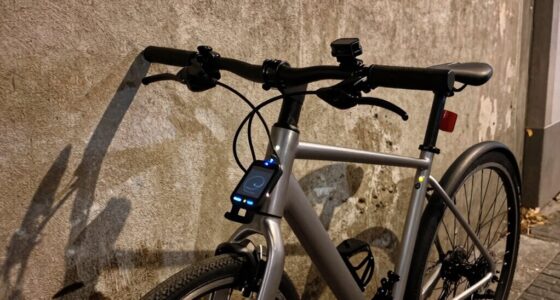 enhanced bike security systems