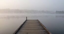 position affects visibility perception