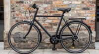 preference for low maintenance bikes