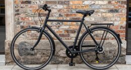preference for low maintenance bikes