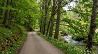 prioritize peaceful safe path