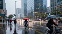 rain transforms urban scenery