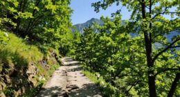 different experiences on loops