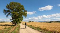freedom through travel adventure