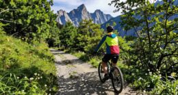 unexpected adventures on roads
