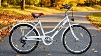 VEVOR 24-Inch Cruiser Bike: A Practical Ride for Fall Errands
