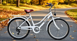 VEVOR 24-Inch Cruiser Bike: A Practical Ride for Fall Errands